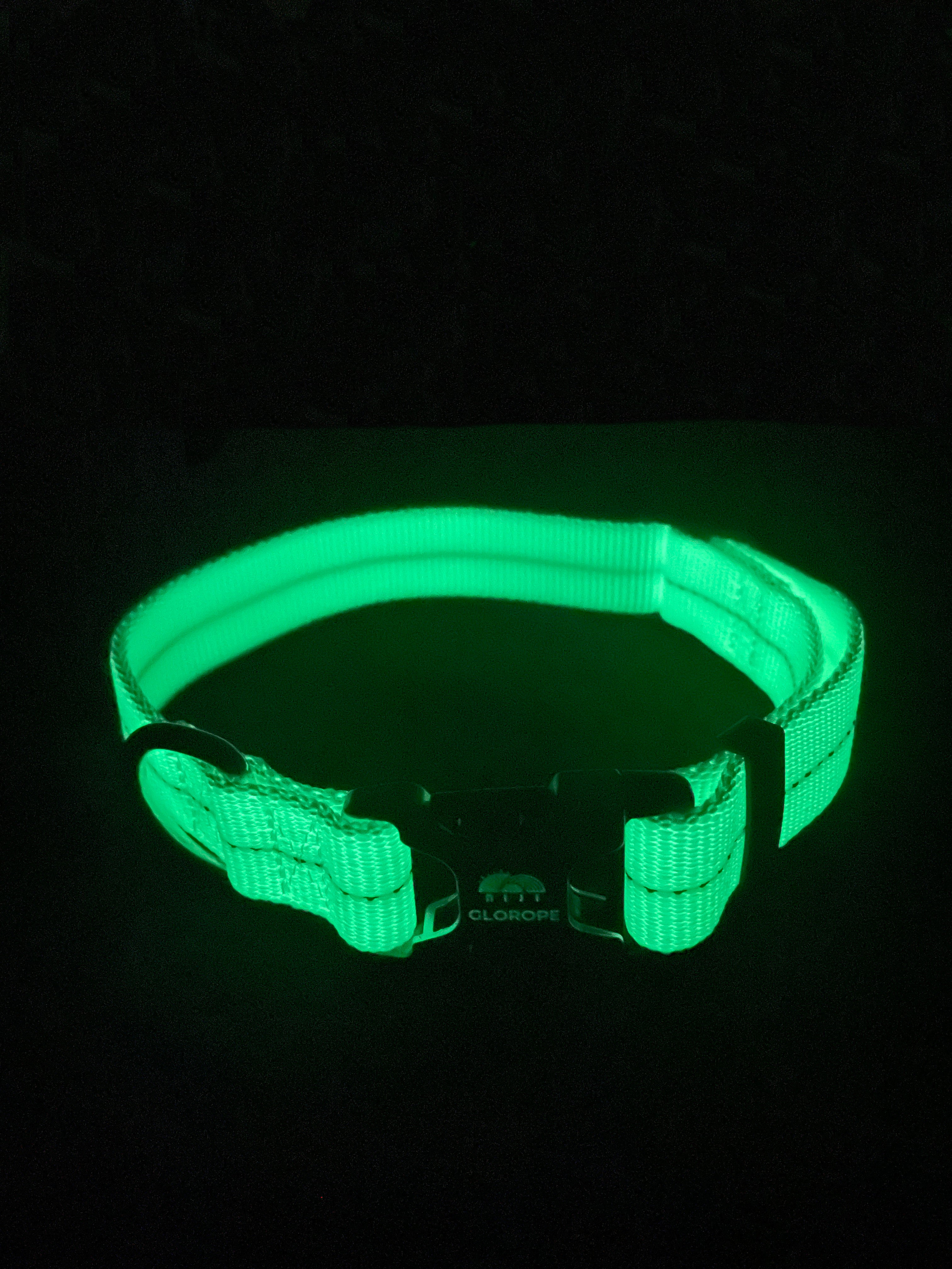 niji luminous dog collar 犬 首輪 (小型犬～大型犬)